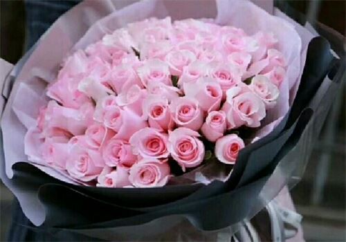 天天鲜花批发加盟