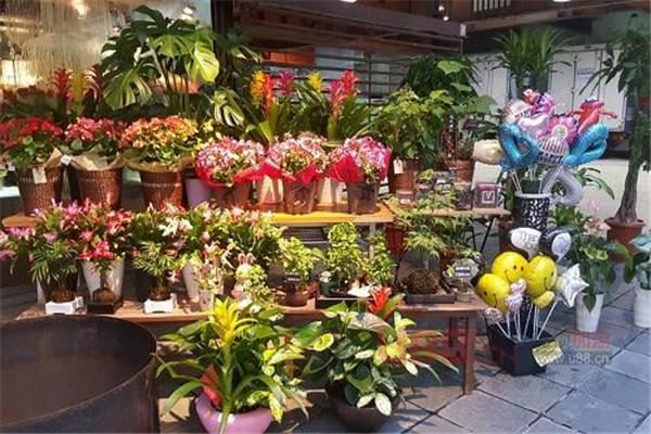 鲜花店特许经营全国加盟 鲜花店特许经营全国加盟