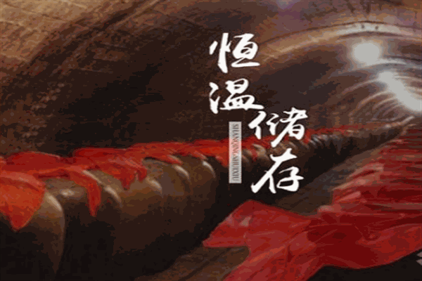 鸿运黑龙滩私人酒窖加盟