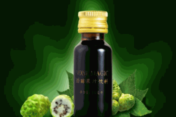 诺丽王酵素加盟