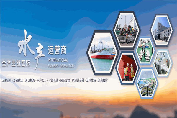 鑫海丰食品加盟