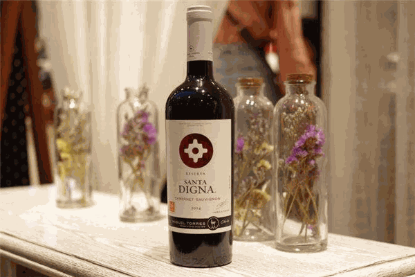 桃乐丝葡萄酒加盟 桃乐丝葡萄酒加盟