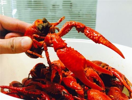 横天下大闸蟹龙虾加盟 横天下大闸蟹龙虾加盟