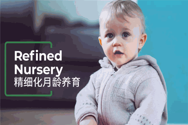 嗨德福德国际儿童成长中心加盟