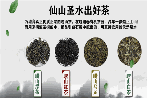 晓阳春茶叶加盟 晓阳春茶叶加盟