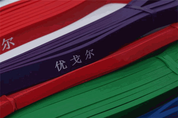 优戈尔体育加盟