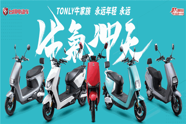 台翔电动车加盟