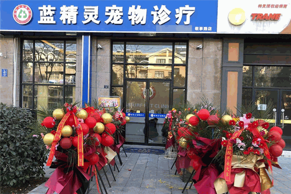 蓝精灵宠物医院加盟