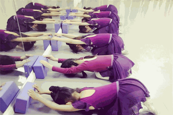 乐尚舞蹈培训加盟