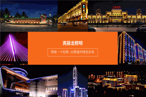 亮丽龙照明加盟