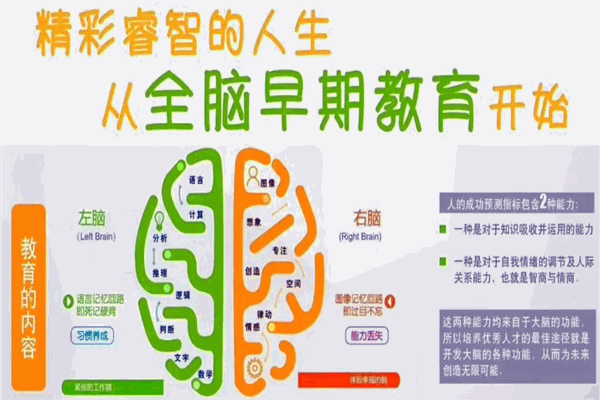 快乐小明星全脑开发教育加盟