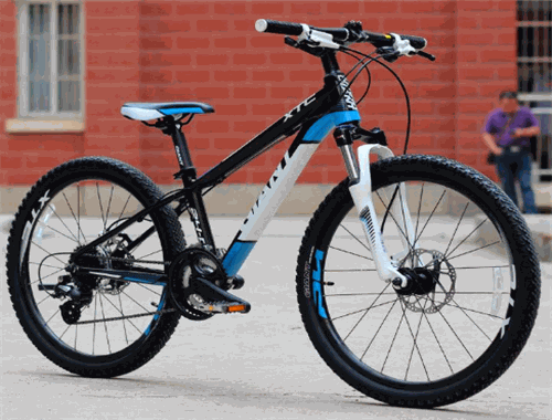 捷安特自行车加盟 捷安特自行车加盟