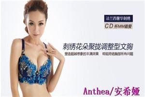 安希娅内衣加盟 安希娅内衣加盟