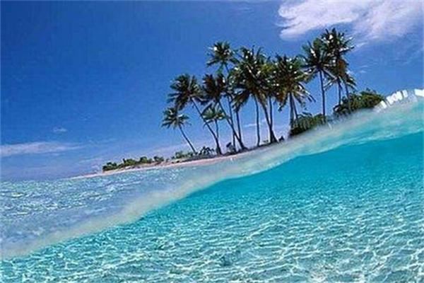 首都国旅旅行社加盟 首都国旅旅行社加盟