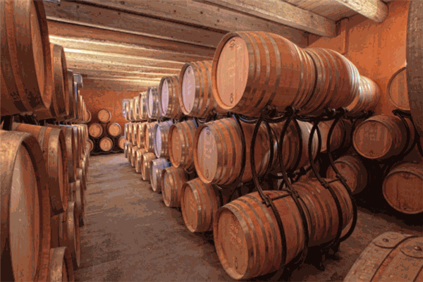 12家族葡萄酒庄加盟 12家族葡萄酒庄加盟