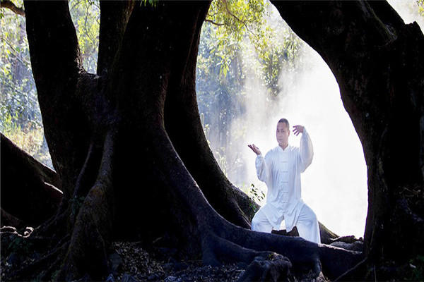 东方太极拳俱乐部加盟