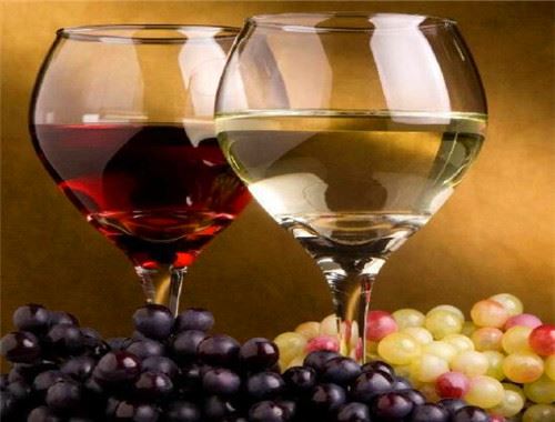 澳特玛葡萄酒加盟