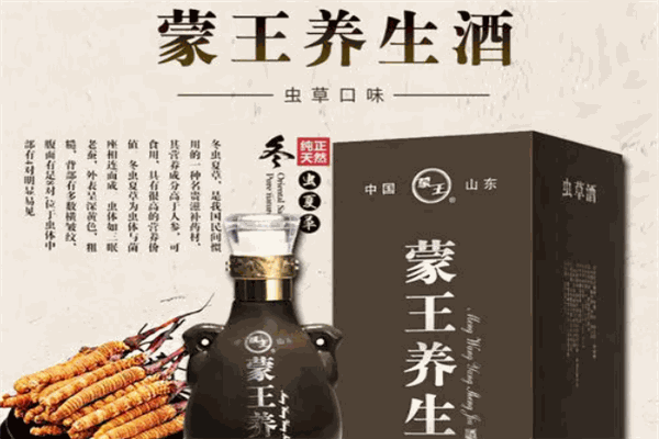 蒙王养生酒加盟