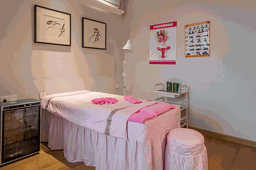 爱月美月子会所加盟