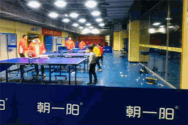 朝一阳乒乓球培训加盟