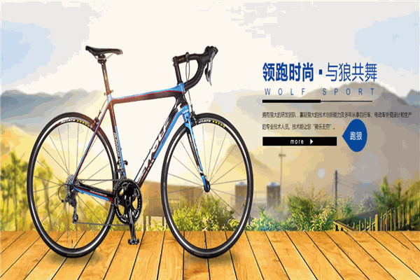 跑狼电动车加盟