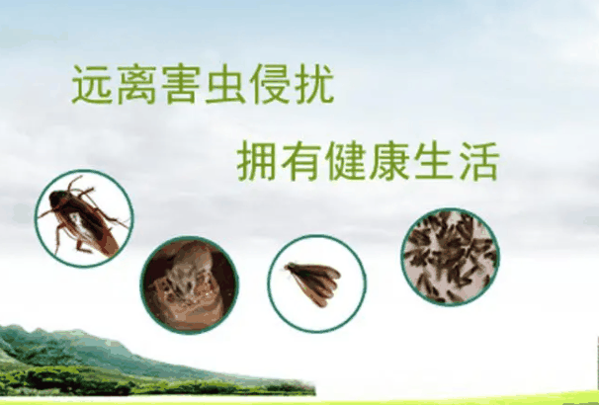 安欣有害生物防治加盟
