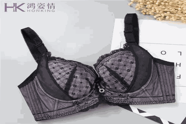 鸿姿情内衣加盟