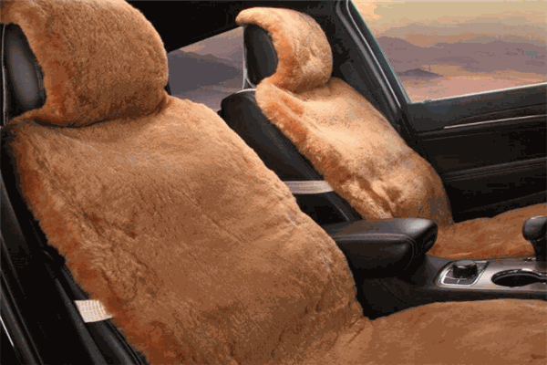 澳世家汽车毛垫加盟