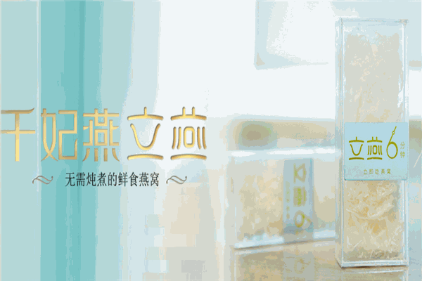 千妃燕燕窝加盟