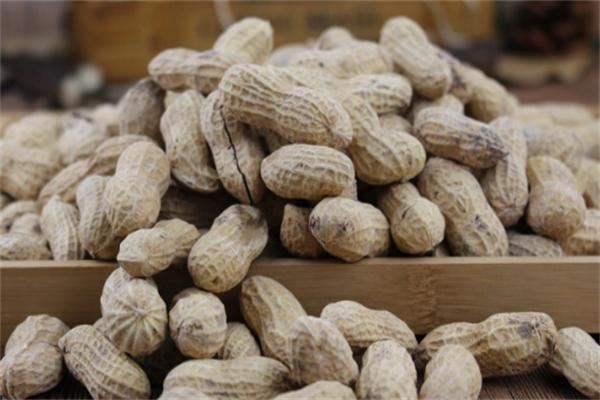 姚记炒货店加盟