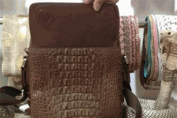 友联兽之霸皮具加盟