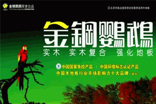 金刚鹦鹉地板加盟