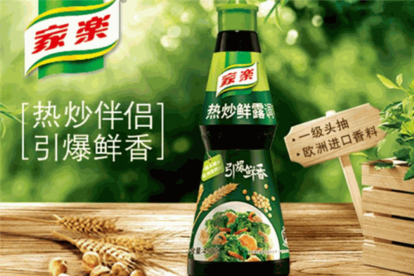 家乐调味品加盟