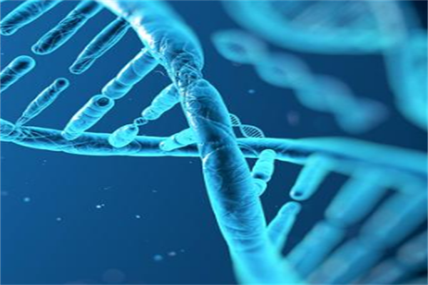 优迅医学基因加盟