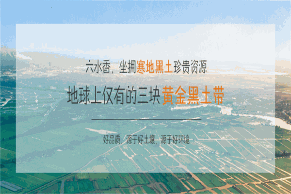 六水香大米加盟