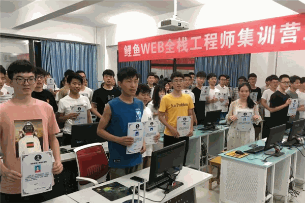 鲤鱼IT教育加盟