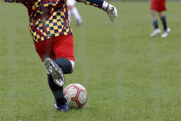 仕伯特少儿足球培训加盟