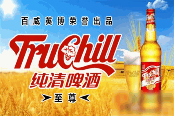 纯清啤酒加盟
