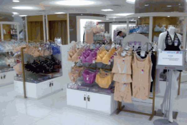 丝中皇内衣加盟