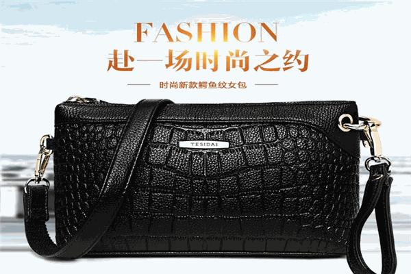 特斯黛女包加盟 特斯黛女包加盟