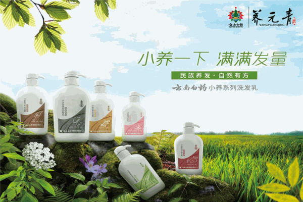 养元青洗发水加盟