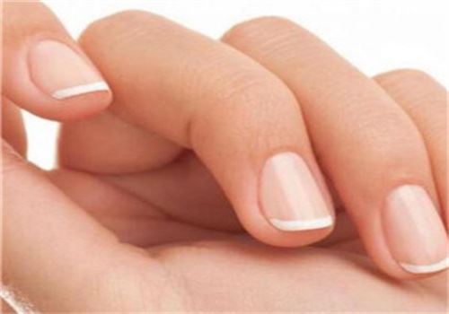 世龙世家甲丽净加盟