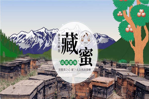 大峡谷蜂业加盟