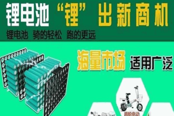 亚仕达锂电池加盟