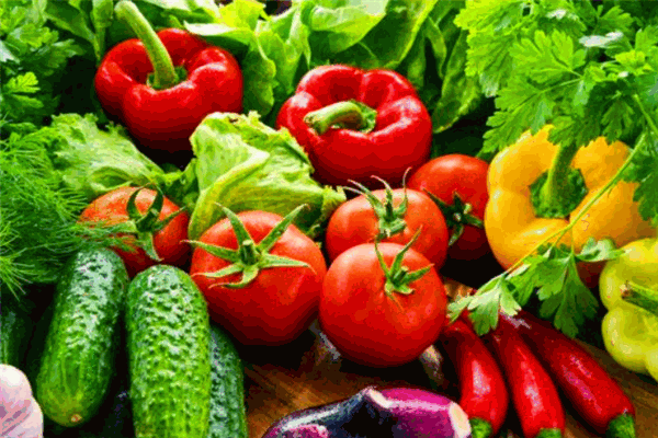 寒土地农业加盟