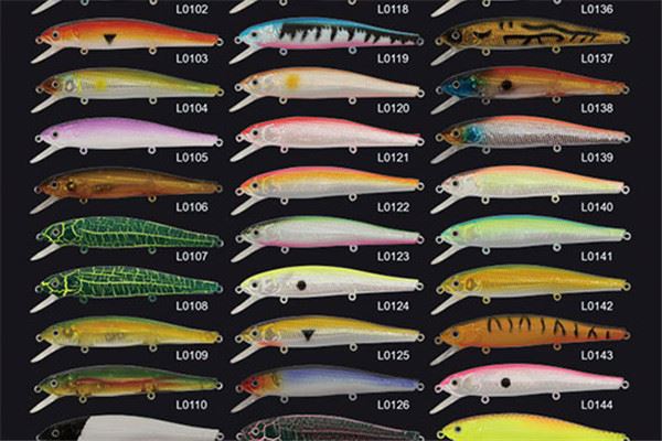 威饵信渔具加盟