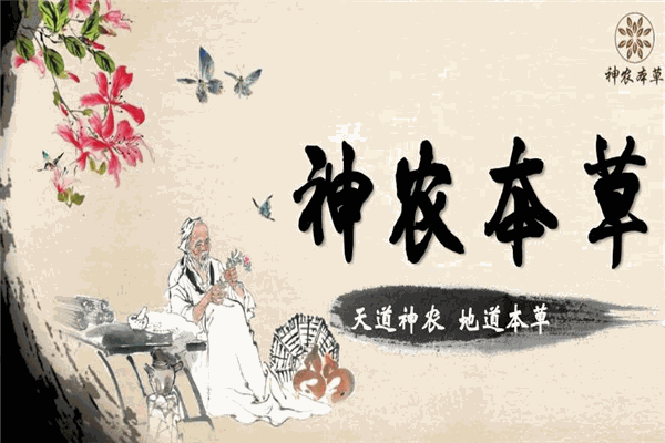 神农本草加盟 神农本草加盟