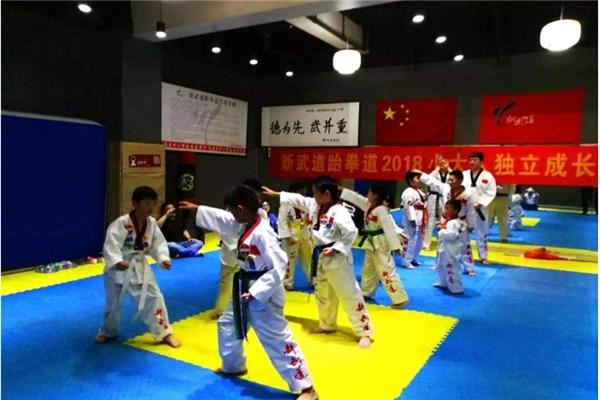 新武道跆拳道加盟
