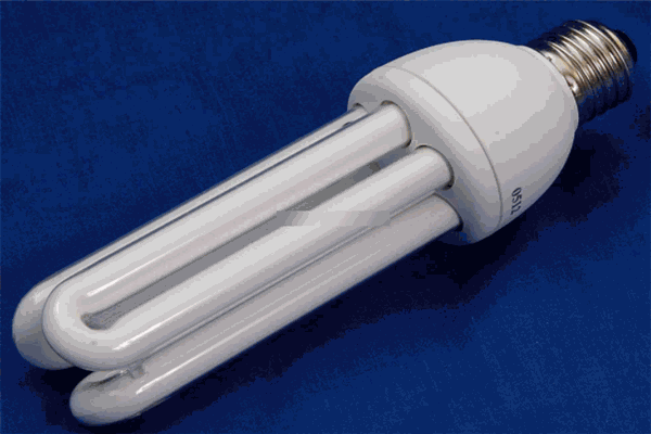 小器猫节能灯加盟