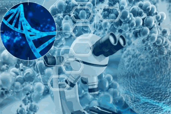 南方基因检测加盟 南方基因检测加盟